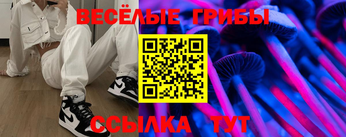 Галлюциногенные грибы GOLDEN TEACHER  Галлюциногенные грибы Cubensis  Вход с VPN  Чистополь 